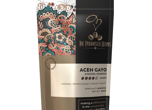 Aceh Gayo